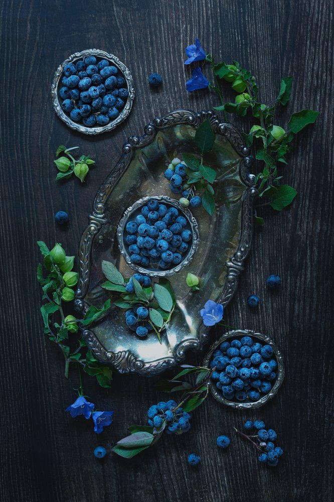 Blaubeeren auf Silber von Lydia Jacobs