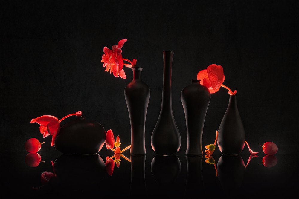 Karmesinrote Blüten schwarze Vasen von Lydia Jacobs