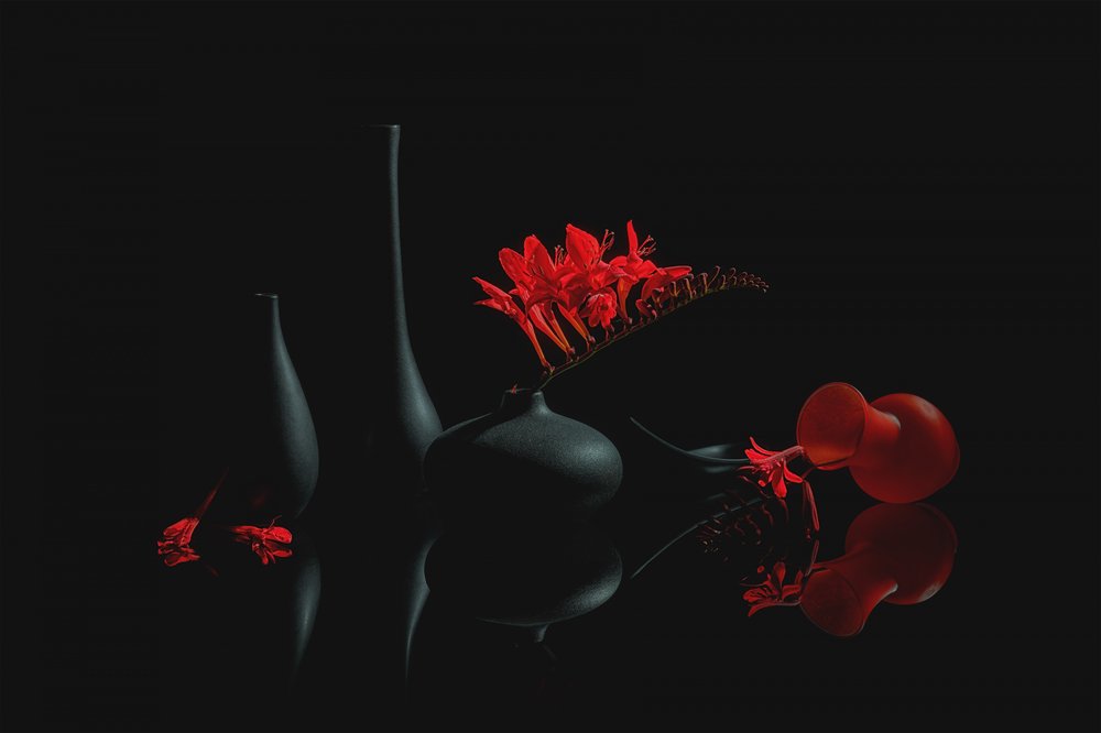 Karmesinrote Blüten Schwarze Vasen von Lydia Jacobs