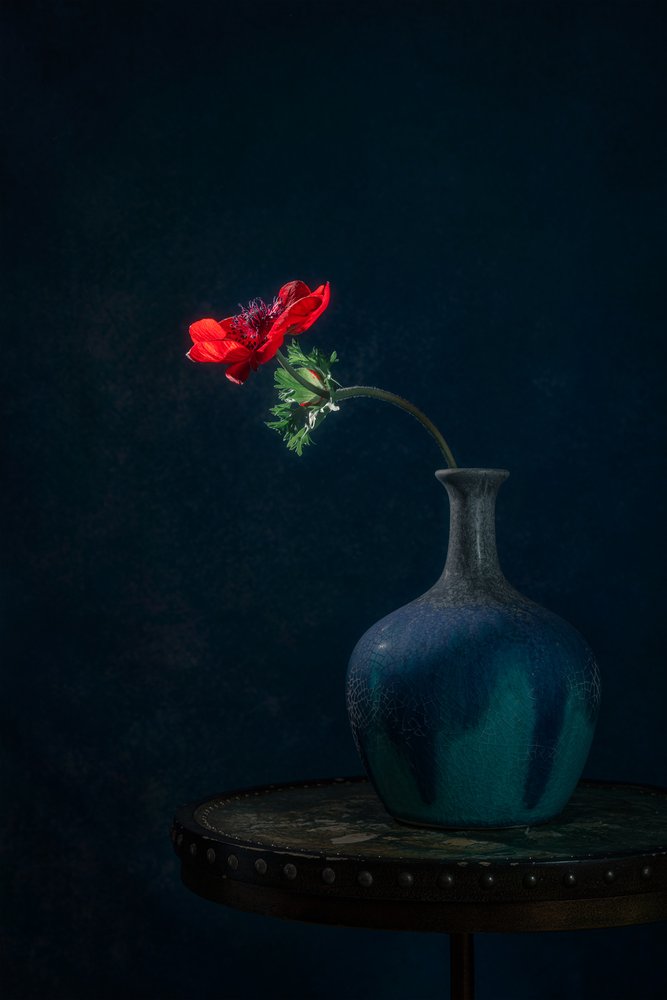Dunkle Anemonen-Vase von Lydia Jacobs