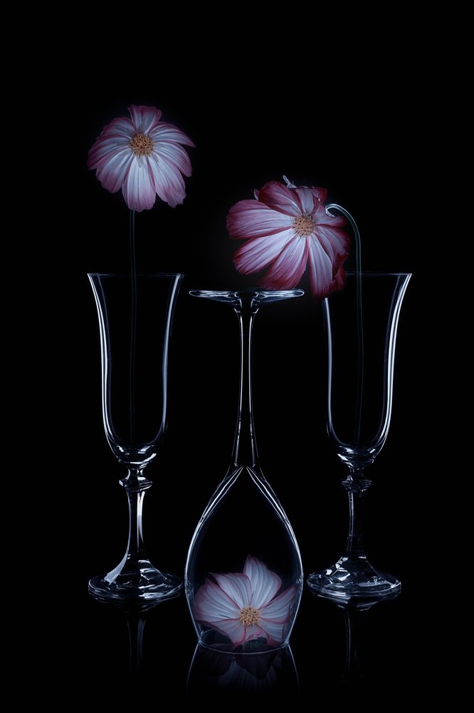 Zarte Blüten Glasflöten von Lydia Jacobs