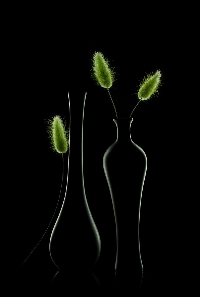 Elegantes grünes Stillleben von Lydia Jacobs