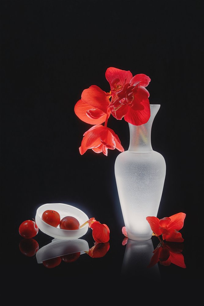 Elegantes rotes Stillleben von Lydia Jacobs