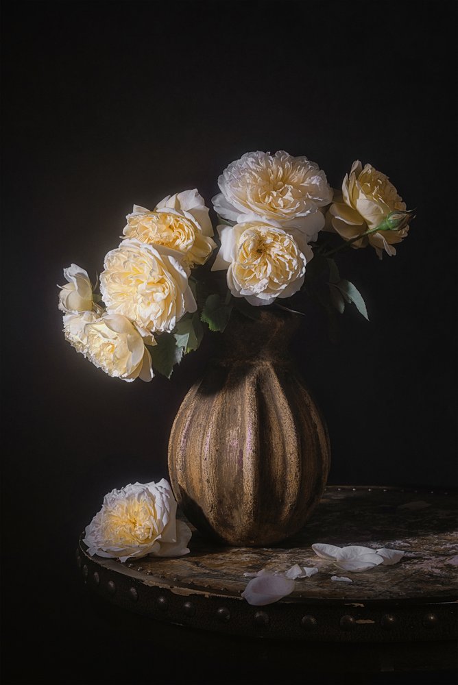 Elegantes Rosenstillleben von Lydia Jacobs