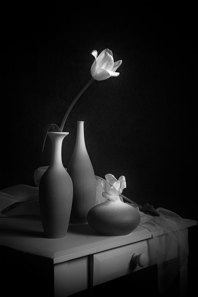 Elegantes Tulpen-Stillleben von Lydia Jacobs