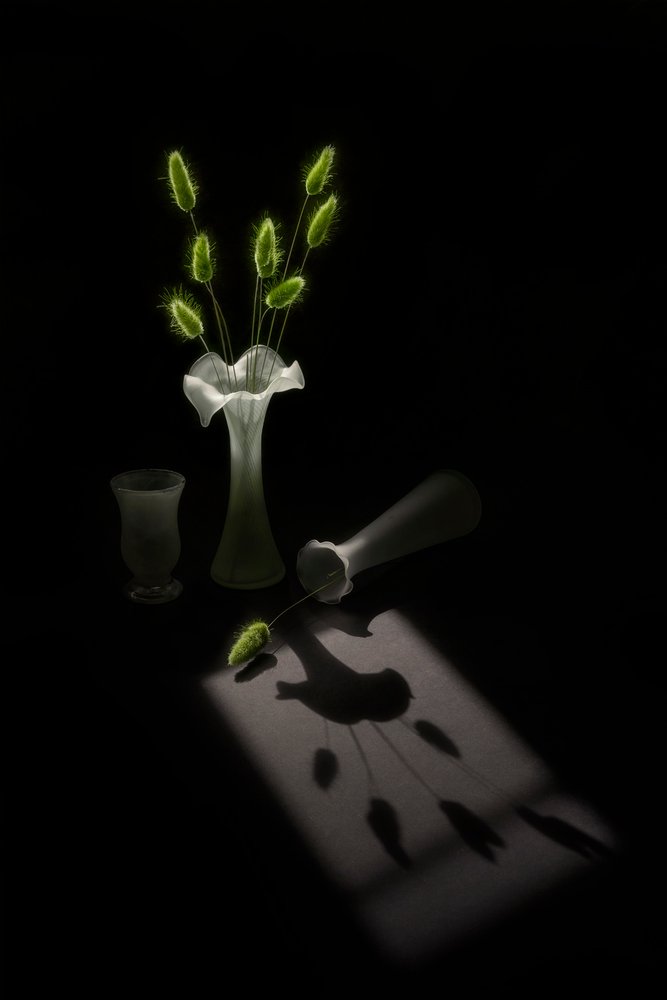 Grüne Pflanzen Vogel Schatten von Lydia Jacobs