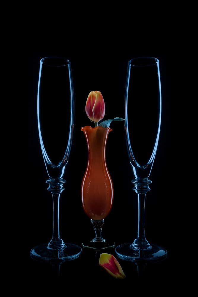 Intime Tulpenflöten von Lydia Jacobs