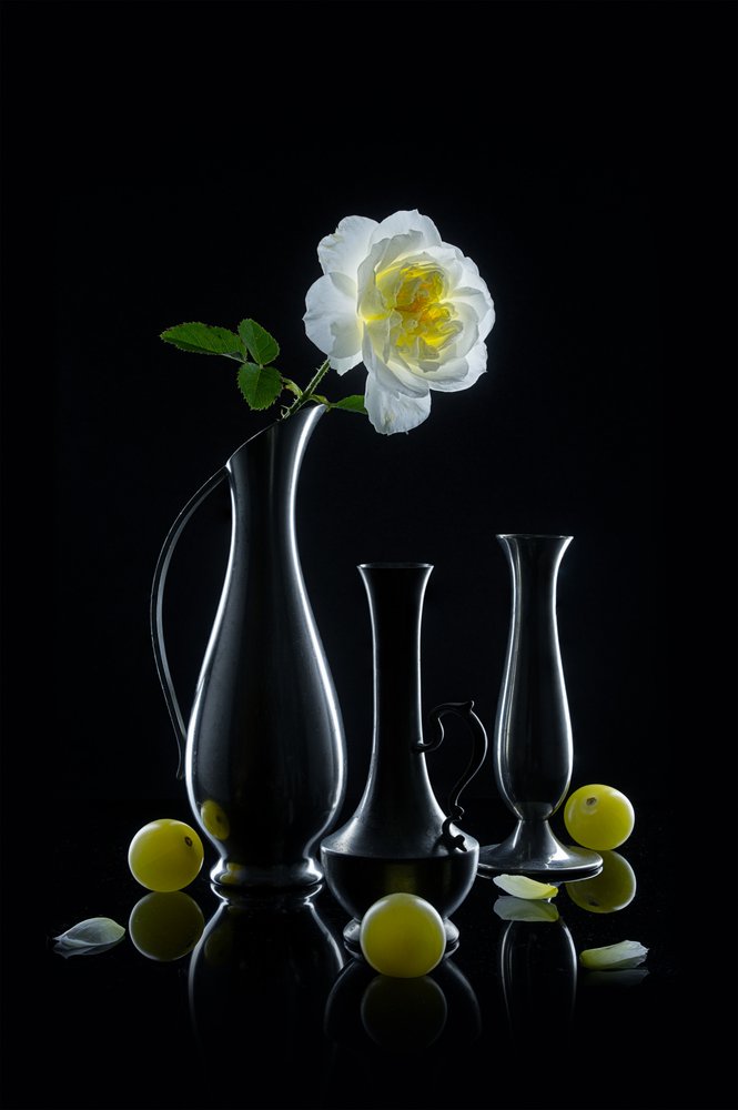 Leuchtende Rose und Vasen von Lydia Jacobs