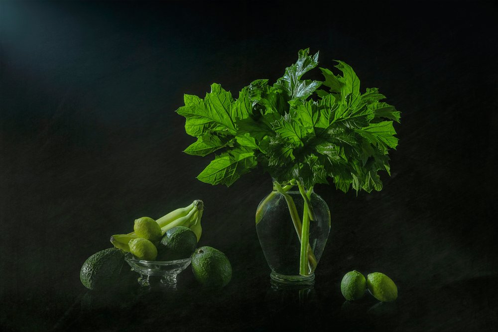 Üppiges botanisches Stillleben von Lydia Jacobs
