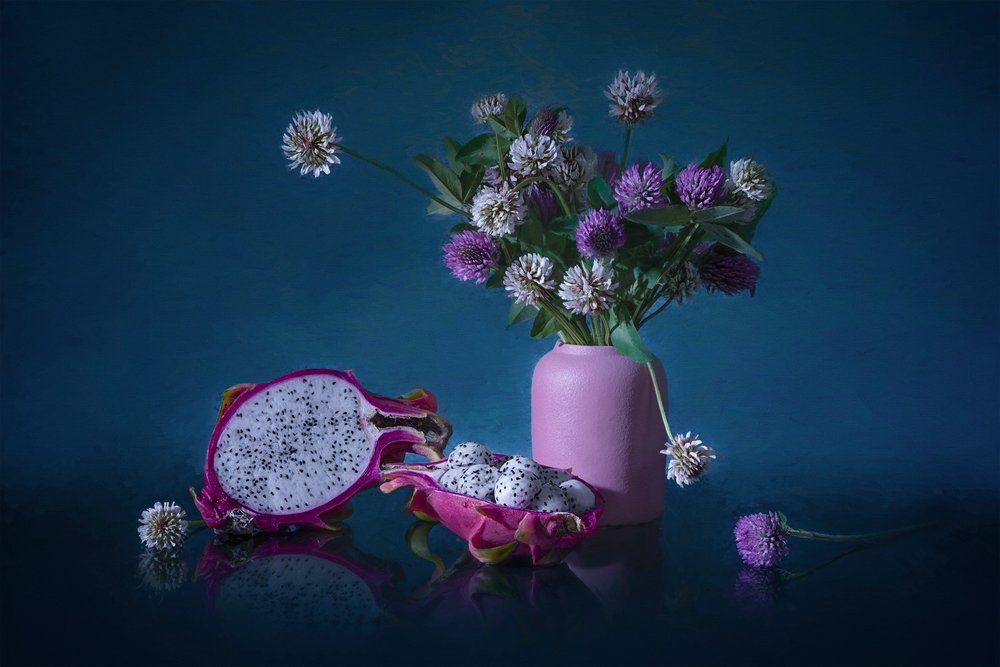Stimmungsvolle Drachenfruchtblüten von Lydia Jacobs