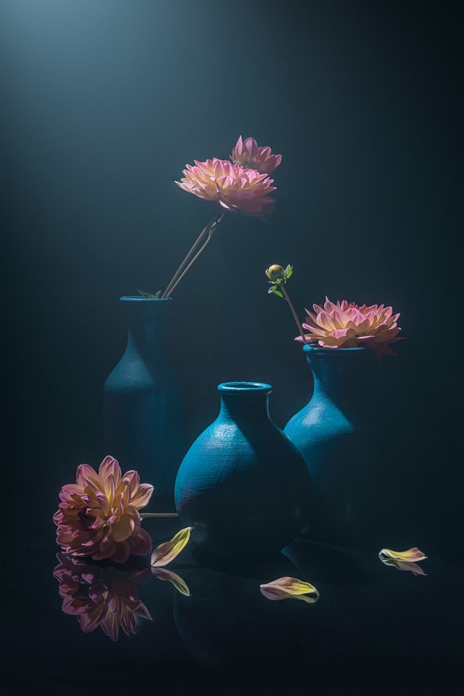 Stimmungsvolle Rosa Dahlien von Lydia Jacobs