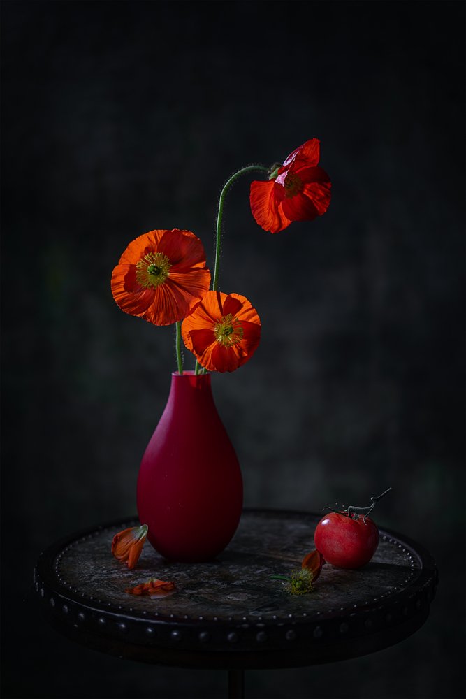 Rote Mohnblumen Dunkles Stillleben von Lydia Jacobs