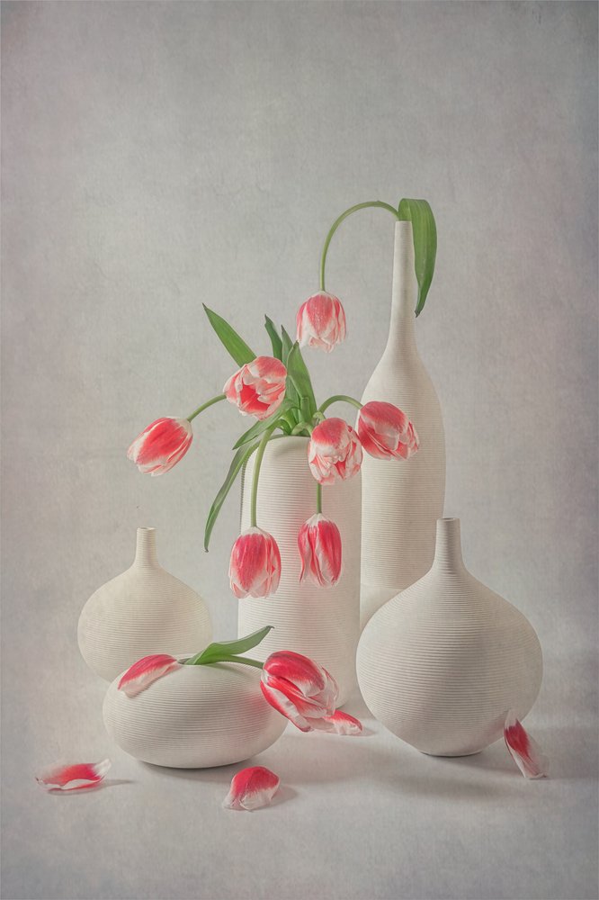 Sanfte Rosa Tulpen von Lydia Jacobs