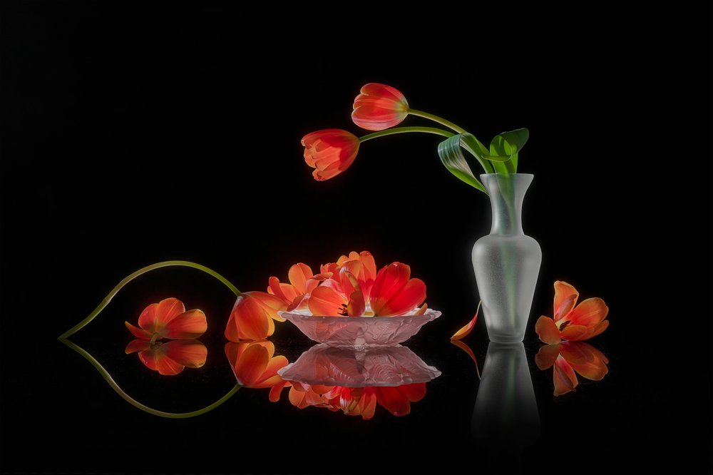 Lebendige Tulpen Stillleben von Lydia Jacobs
