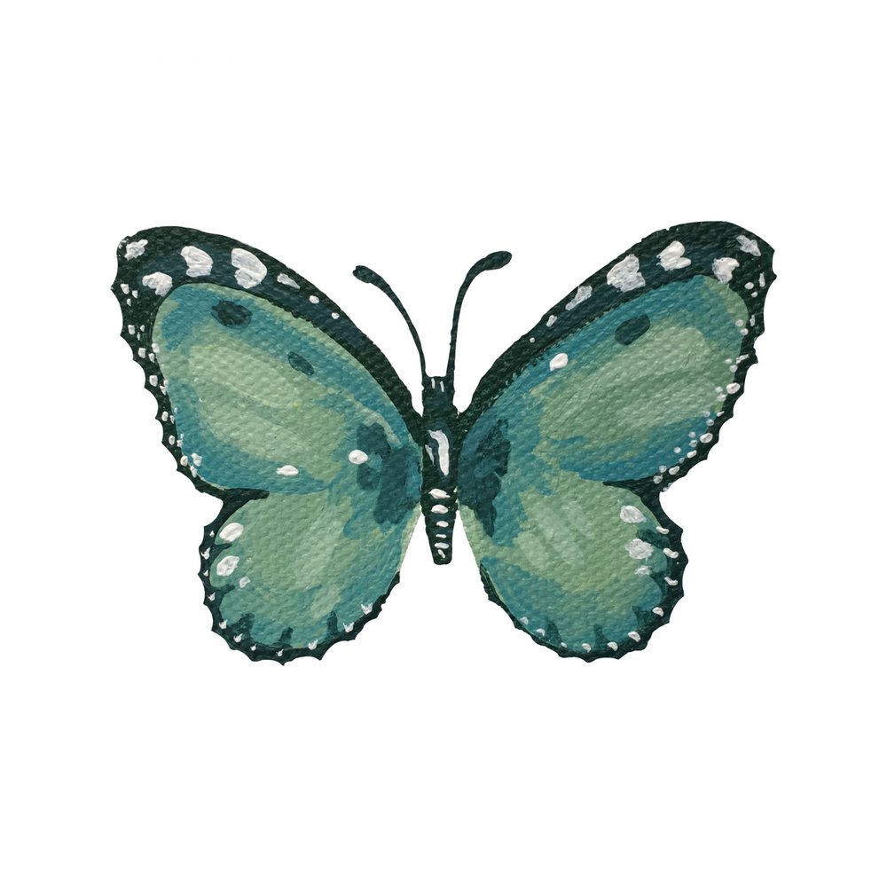 Eleganter türkisfarbener Schmetterling von Madison Phipps