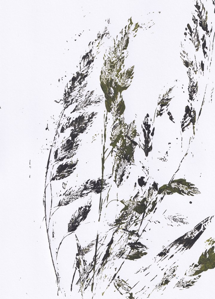 Botanischer Grasdruck von Maira Ribena