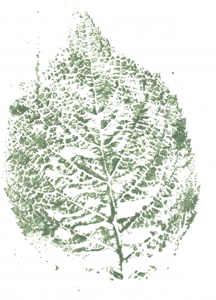Botanischer Blattdruck von Maira Ribena