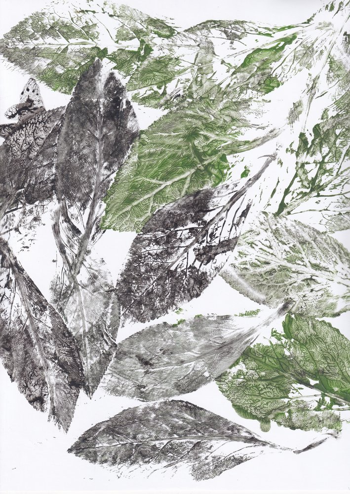 Botanische Blattdrucke von Maira Ribena