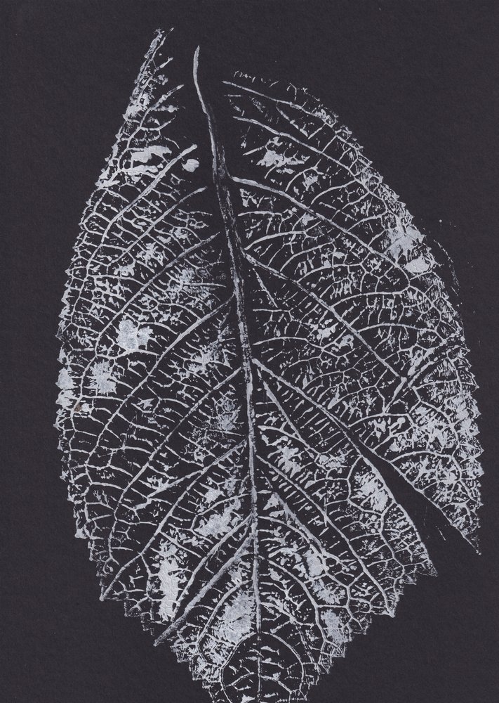 Monochromes Blattmuster von Maira Ribena