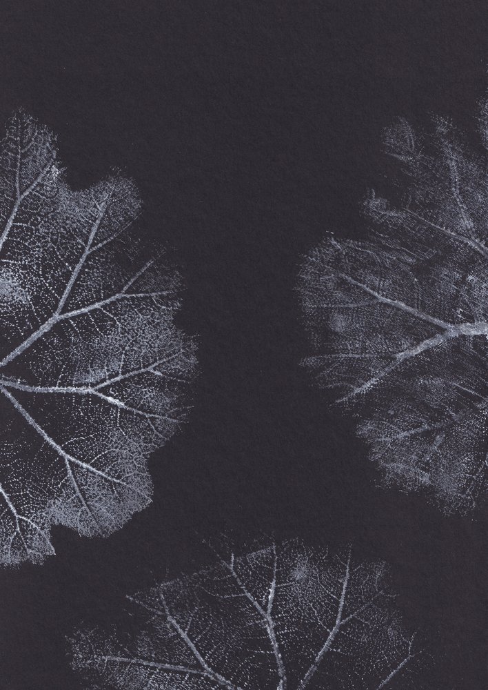 Monochrome Blatttexturen von Maira Ribena