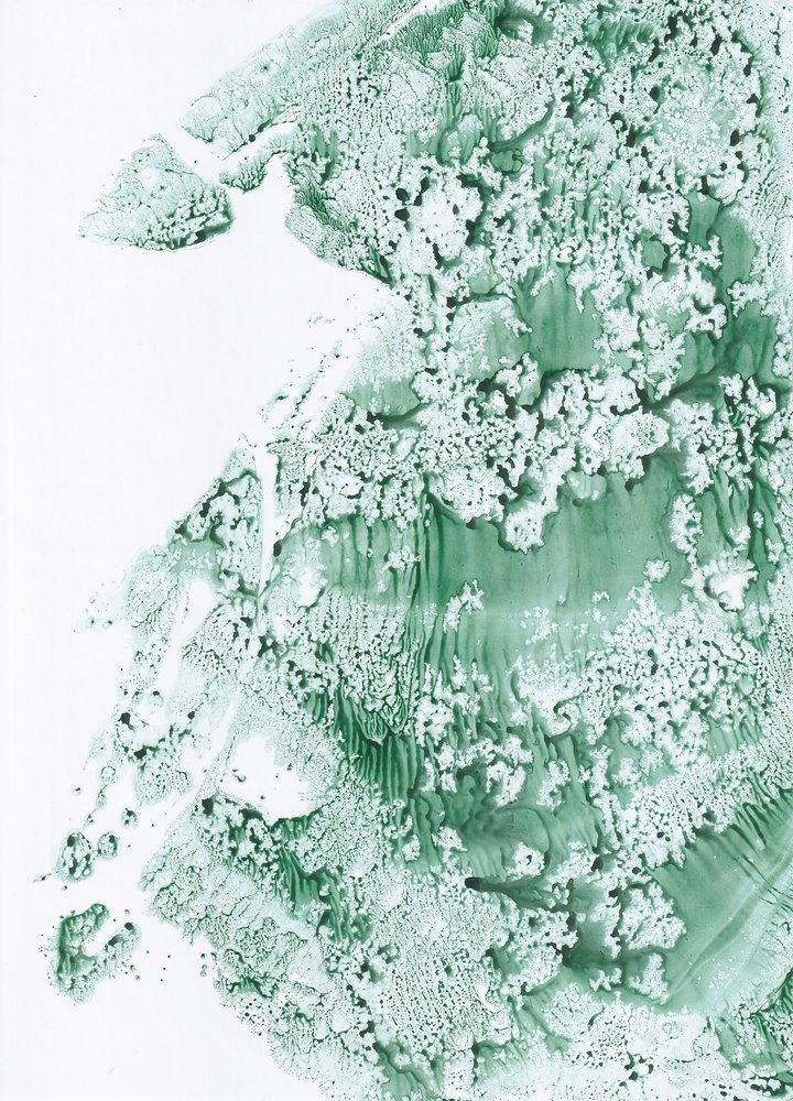 Organische grüne Textur von Maira Ribena