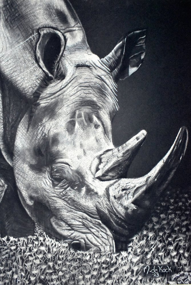 Mächtiges Nashorn beim Grasen von Marchelle de Kock