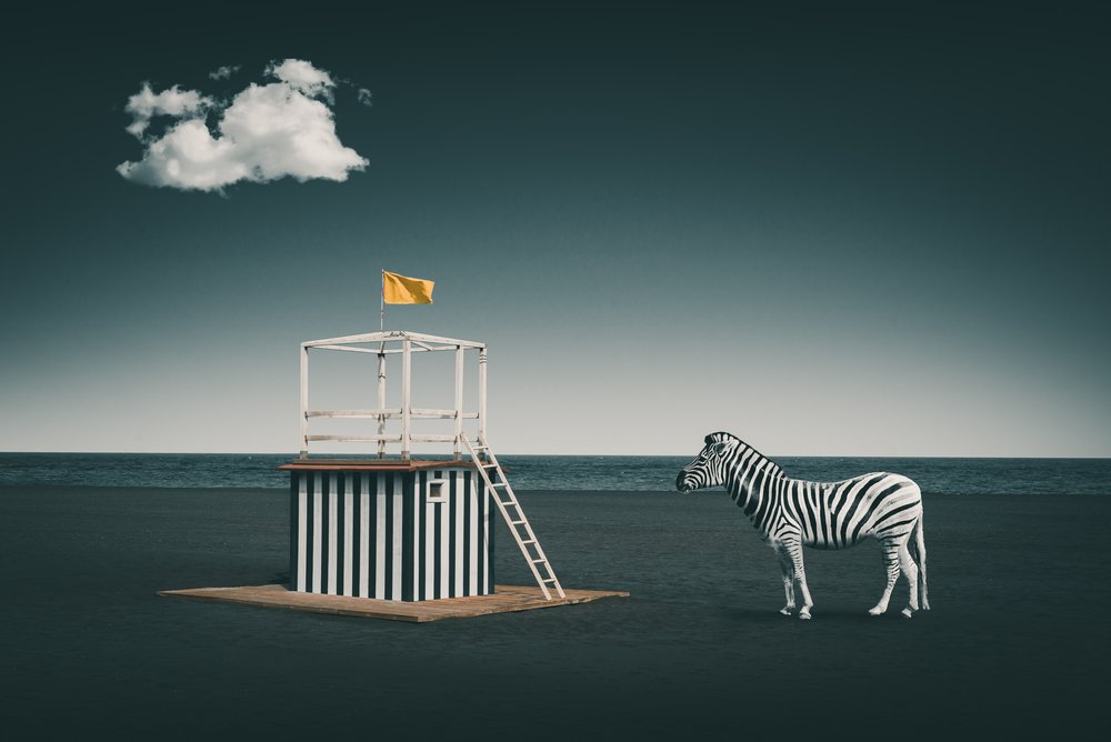 Surrealer Strandzebra von Marcus Hennen
