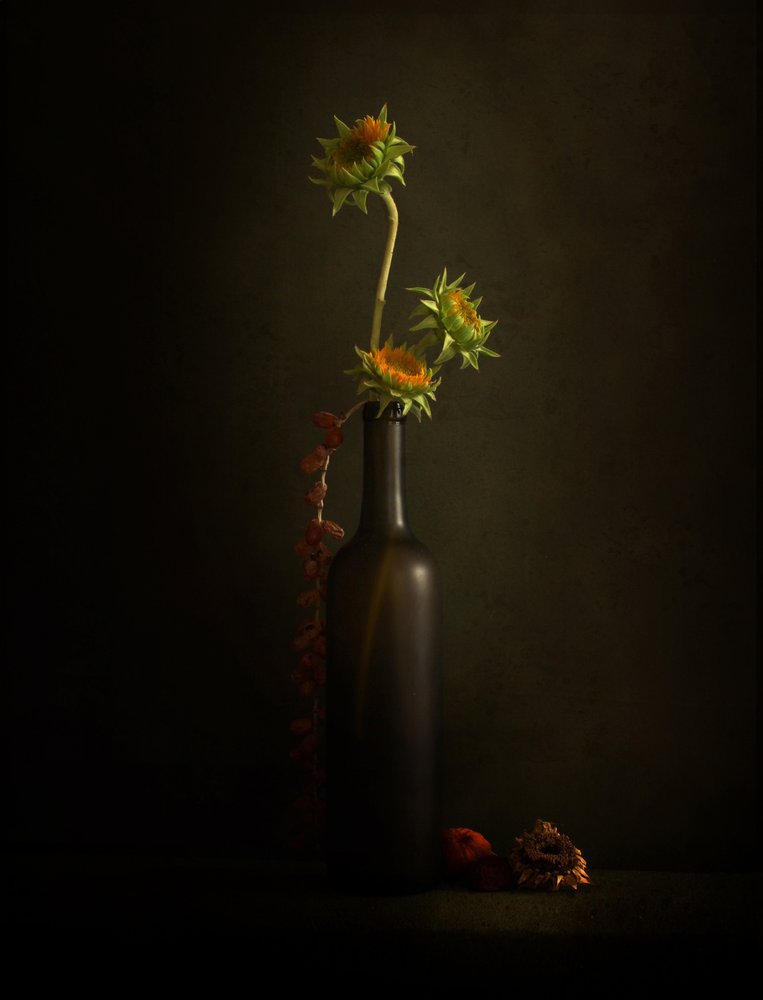 Stimmungsvolle Sonnenblume Stillleben von Margaret Halaby