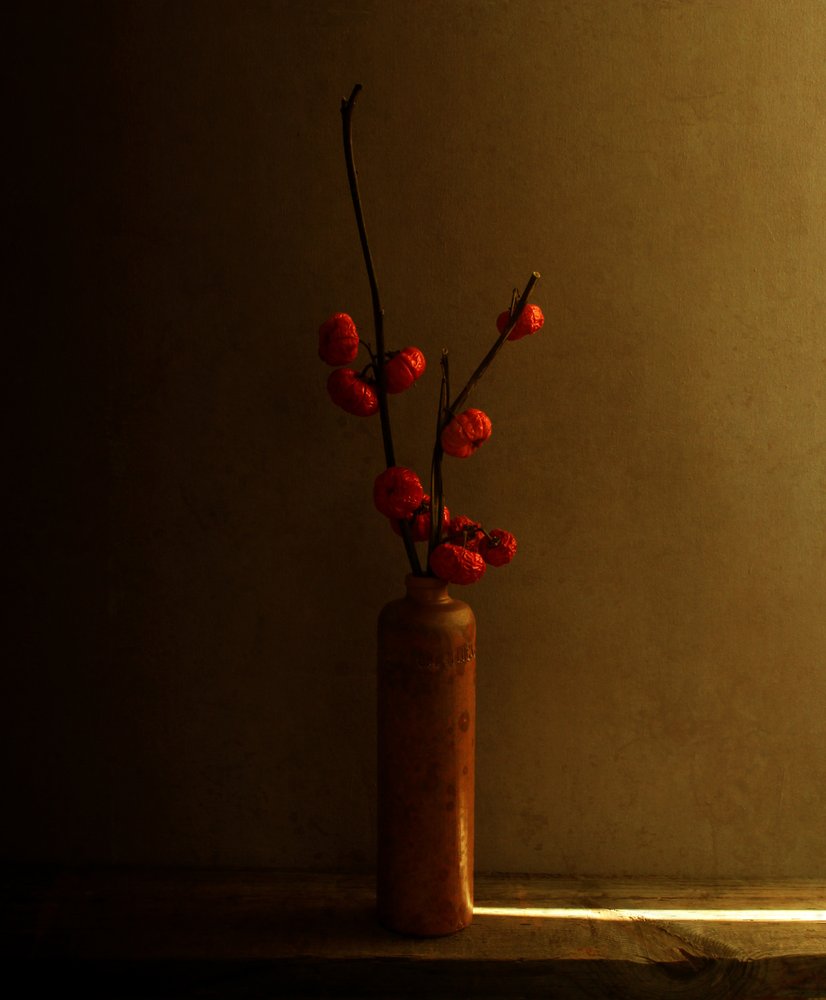 Rote Beeren Stillleben von Margaret Halaby