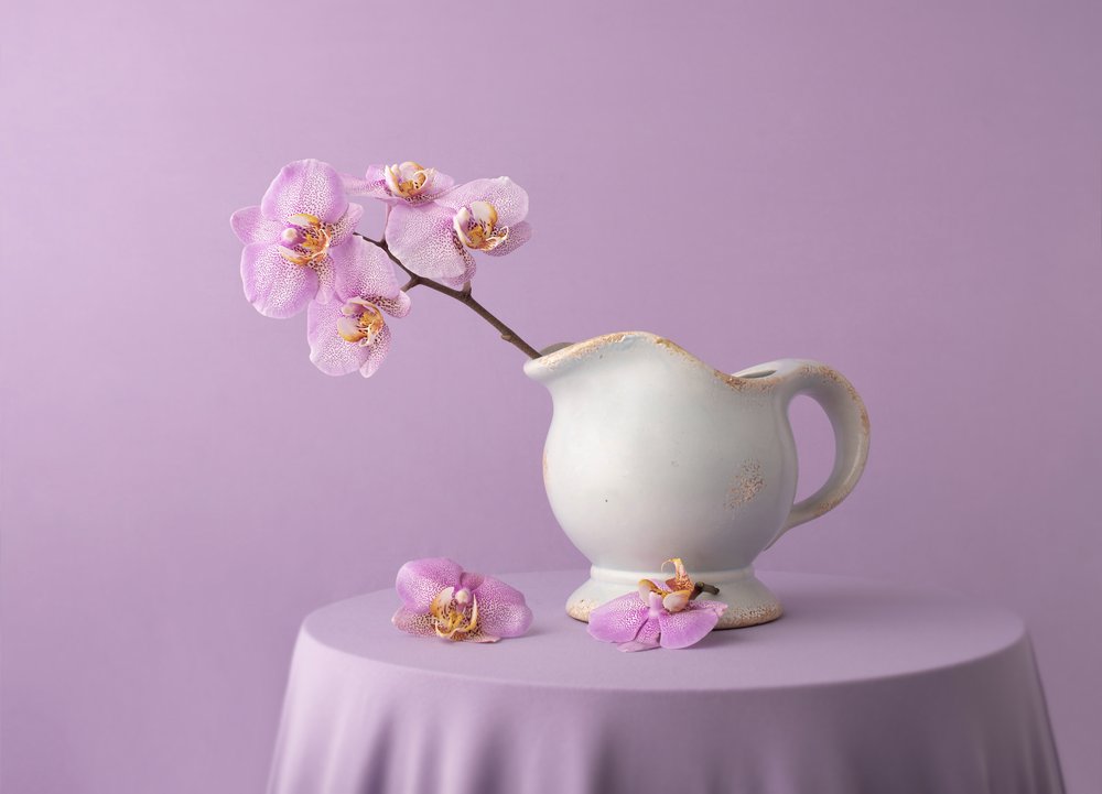 Elegante Lavendel-Orchideen von Margareth Perfoncio