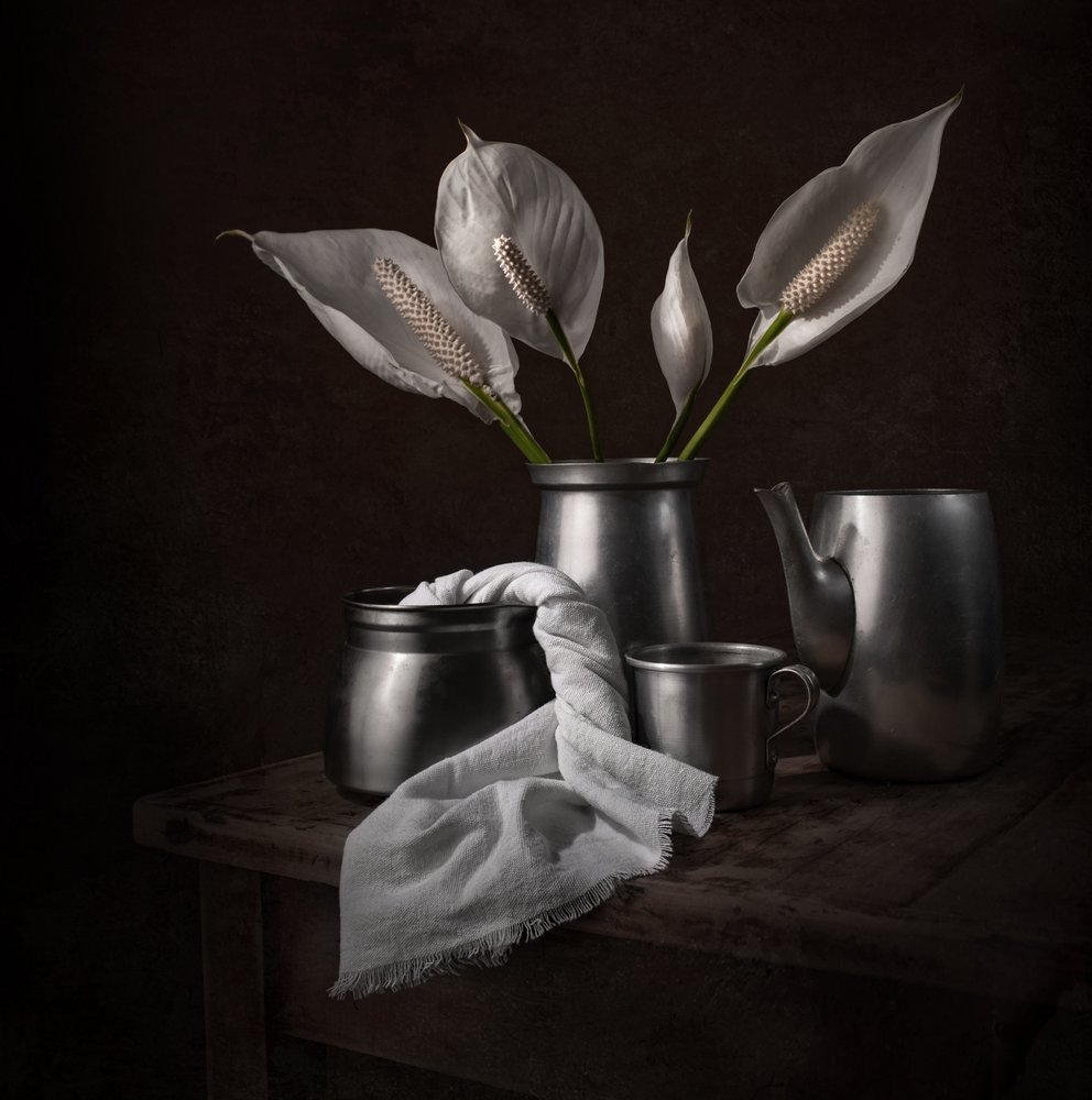Elegante Friedenslilien von Margareth Perfoncio