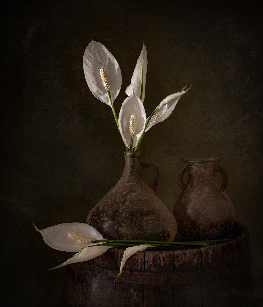 Stimmungsvolle Friedenslilien von Margareth Perfoncio