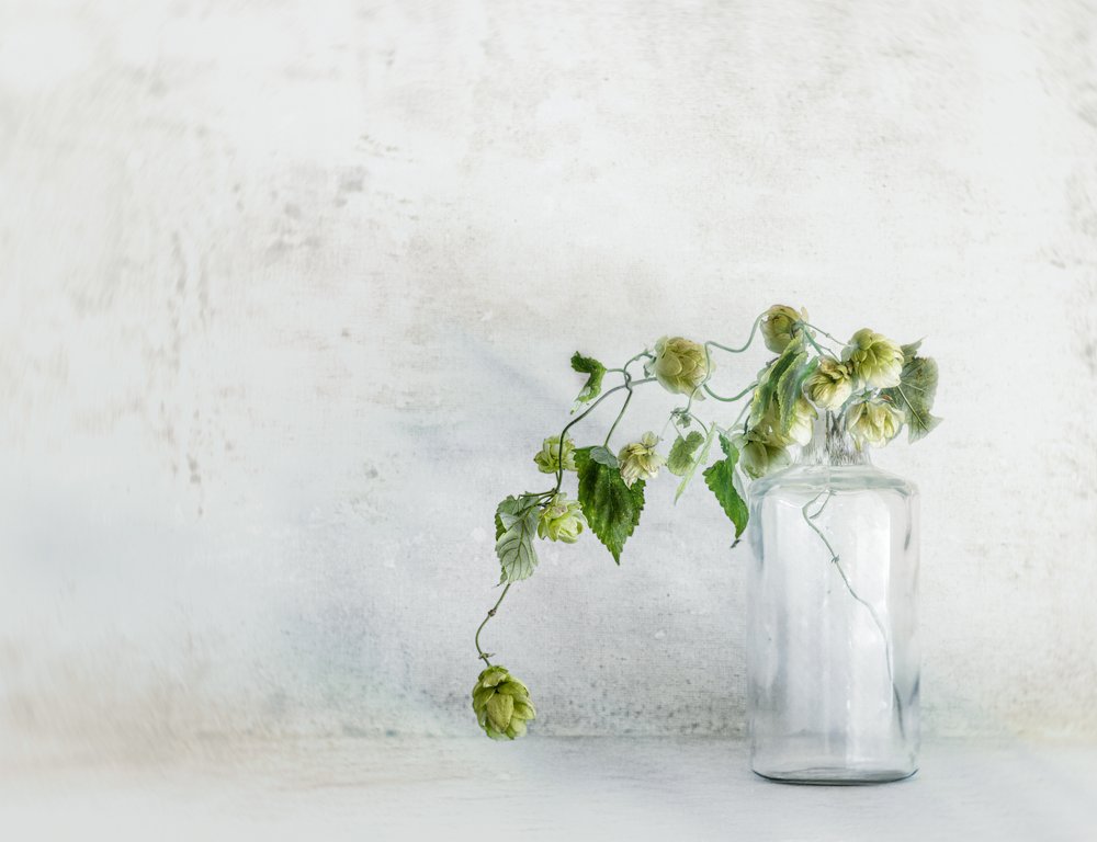 Frische Hopfen in Flasche von Marie-anne Stas