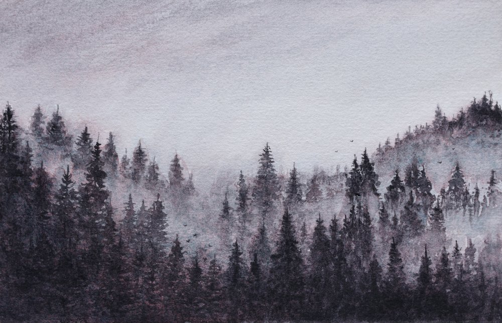 Neblige Waldlandschaft von Marina Kozyr