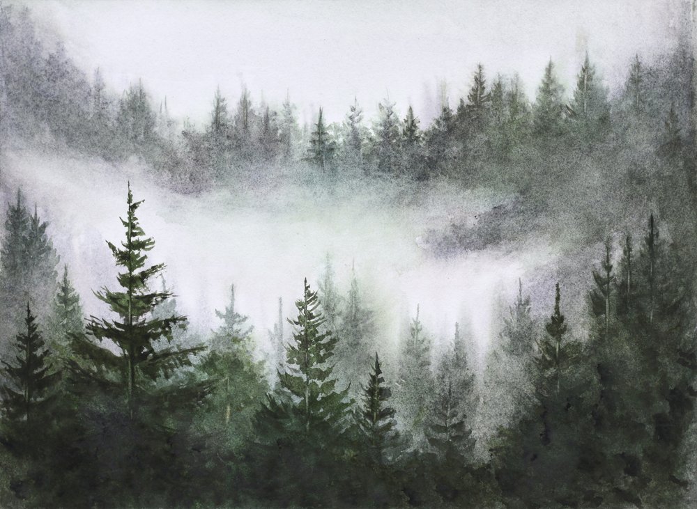 Stille im nebligen Wald von Marina Kozyr
