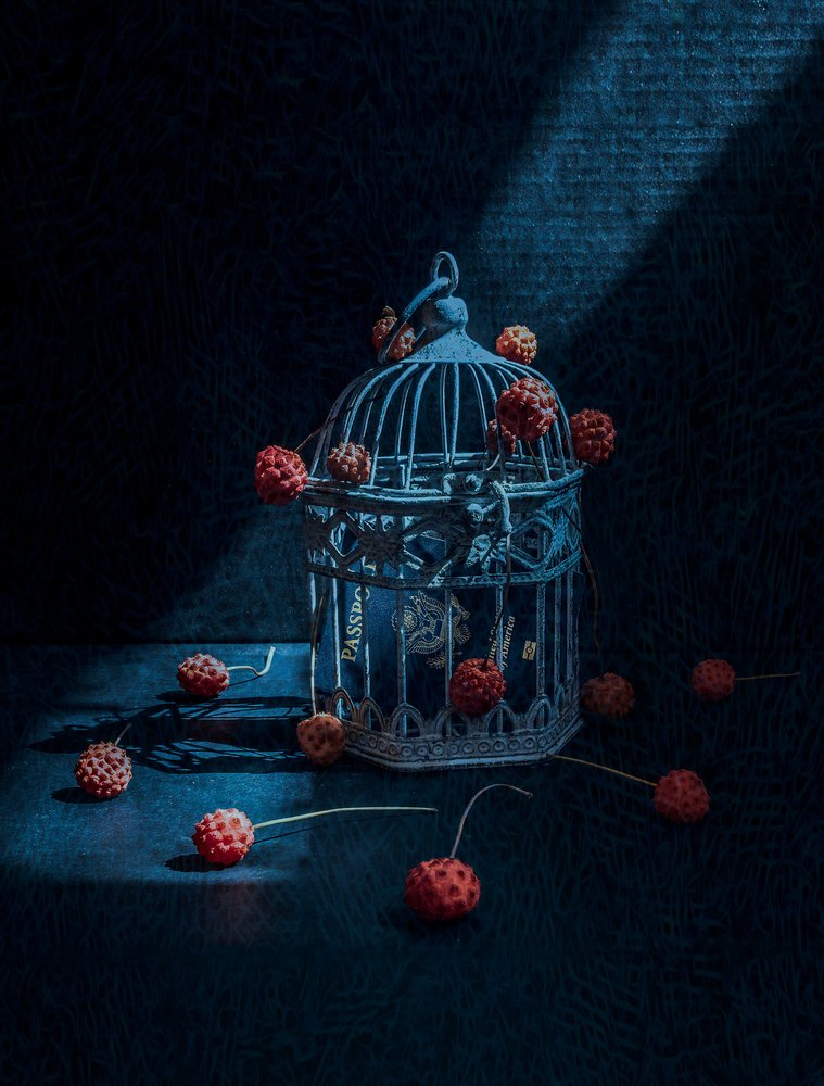 Geheimnisvoller Vogelkäfig und Beeren von May G