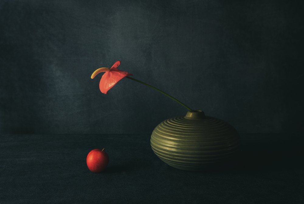 Rotes Anthurium Stillleben von May G