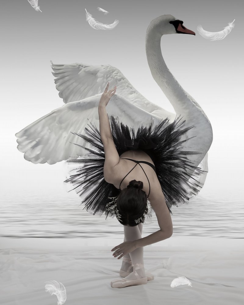 Schwarzer Schwan Ballerina von Mieke