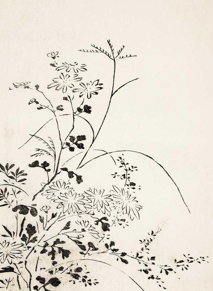 Herbstblumen und Gräser (1762) von Miyazaki Yuzen