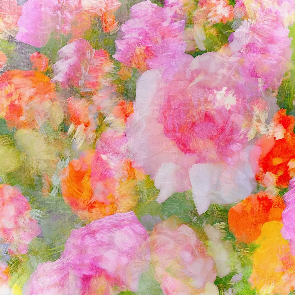Träumerisches Blumenabstrakt von Molly Fu APA