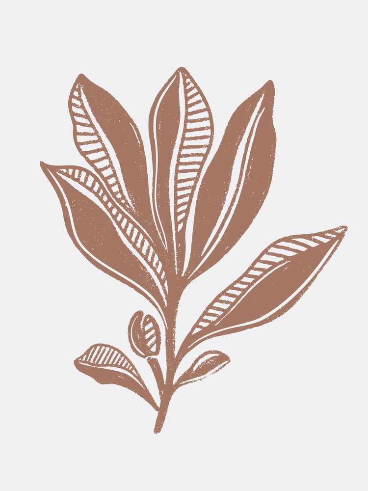 Organische botanische Skizze von Nikita Jariwala