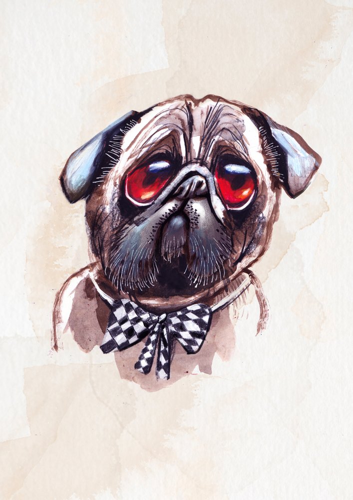 Melancholischer Mops von Olga Skomorokhova