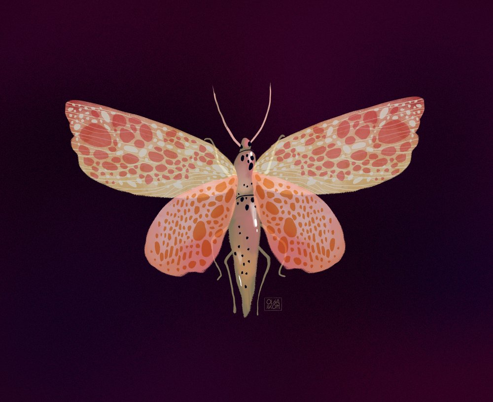 Rosa-orange gefleckter Falter von Olga Skomorokhova
