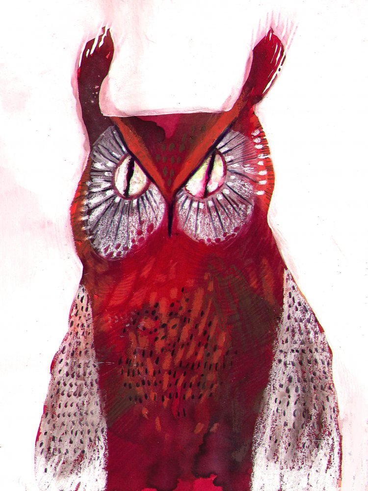 Lebendige Rote Eule von Olga Skomorokhova