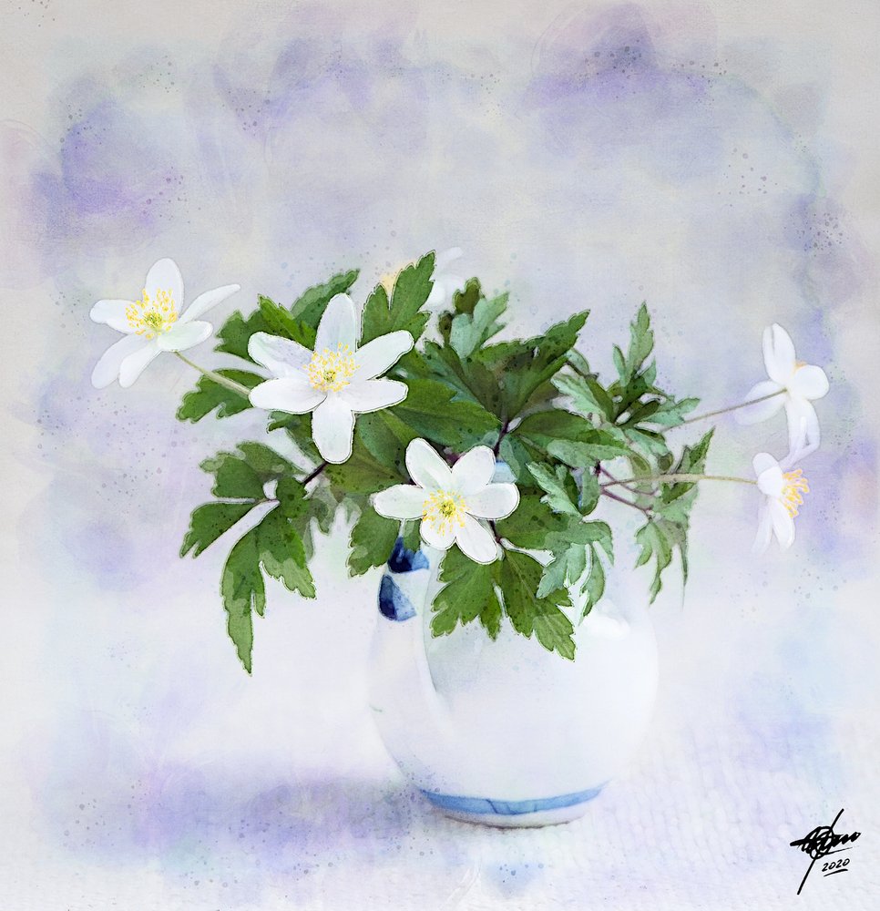 Zarte Weiße Frühlingsblumen von Osvaldo Russo
