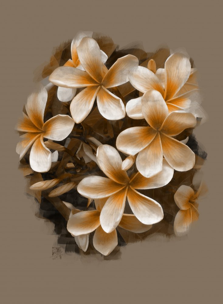 Tropische Plumeria-Blüten von Osvaldo Russo