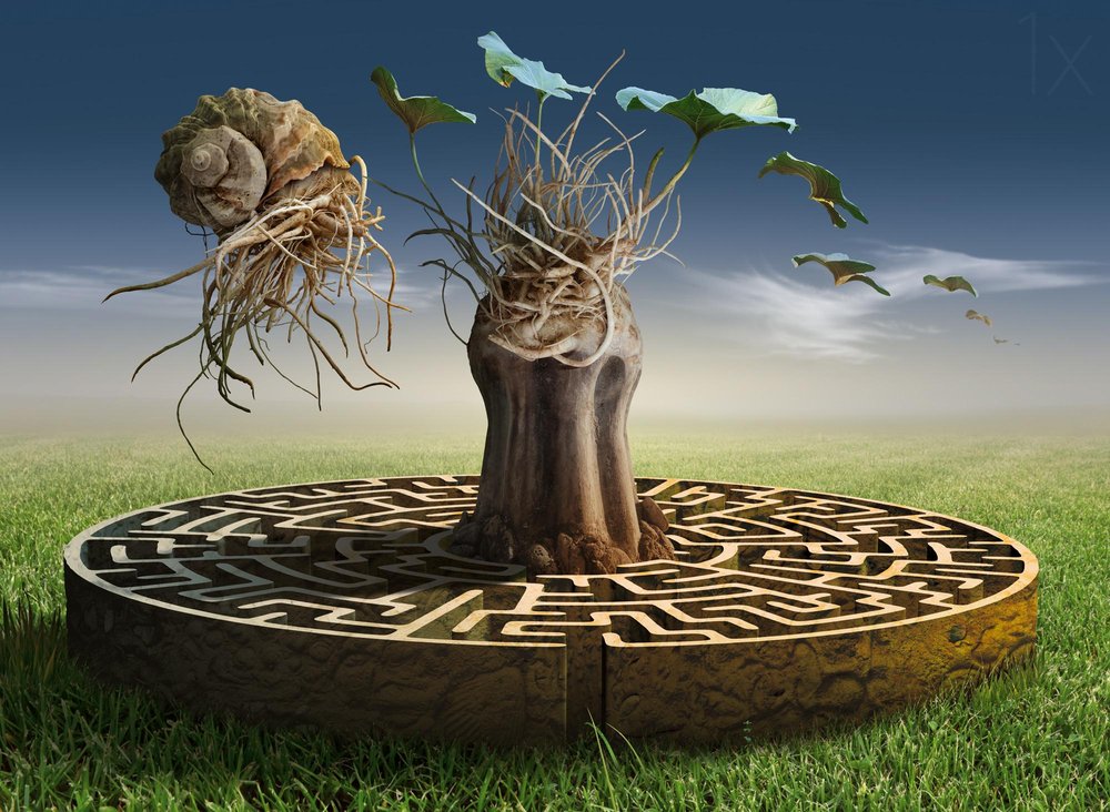 Traumlandschafts-Labyrinth von Radoslav Penchev