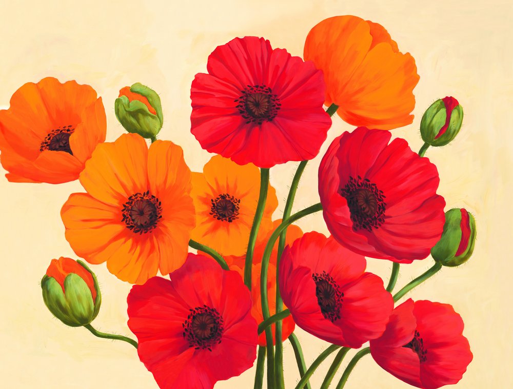 Rot-orangefarbene Mohnblumen von Renate Holzner