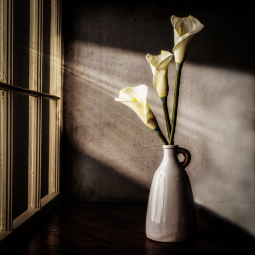Calla-Lilien im Fensterlicht von Rob Ryan