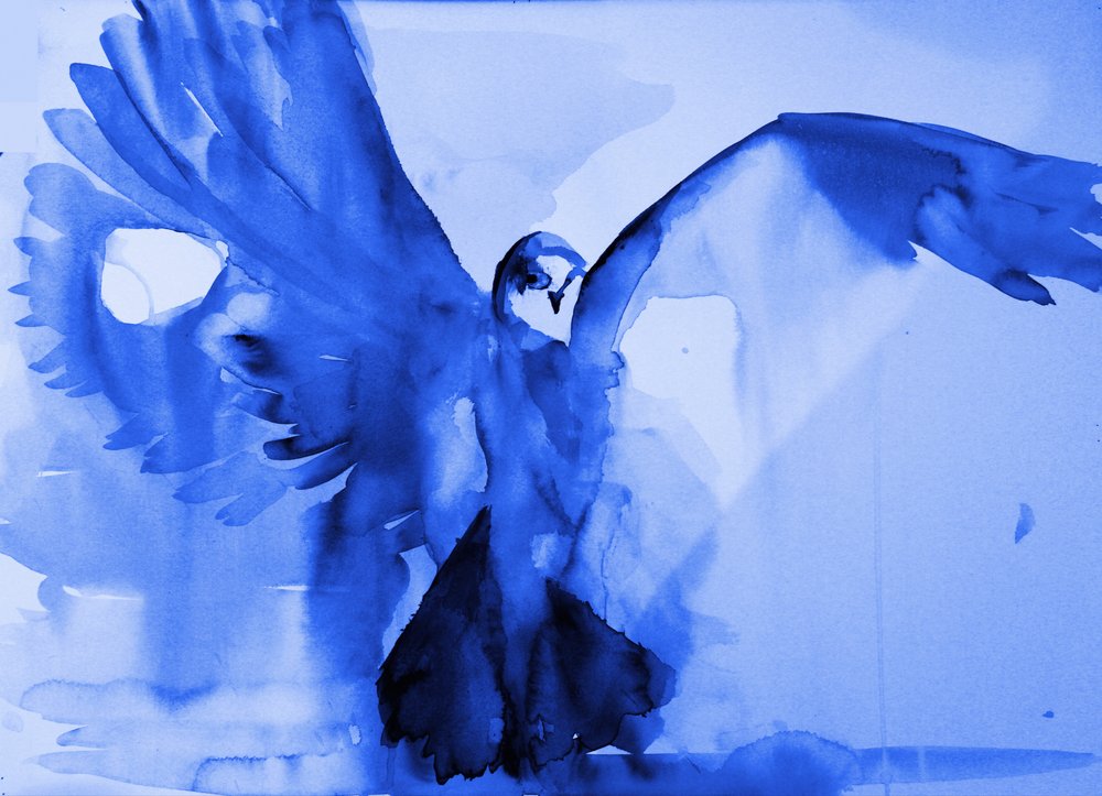 Blauer Taubenflug von RodMacIver